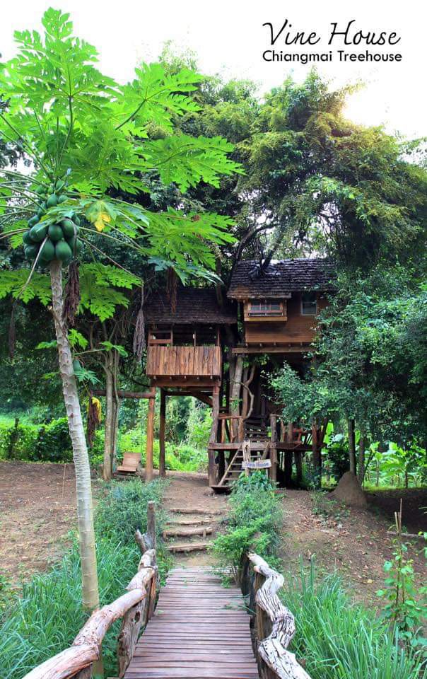 Rabeang Pasak Treehouse Resort