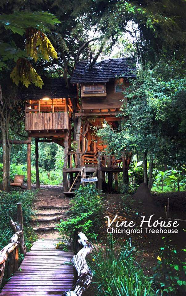Rabeang Pasak Treehouse Resort
