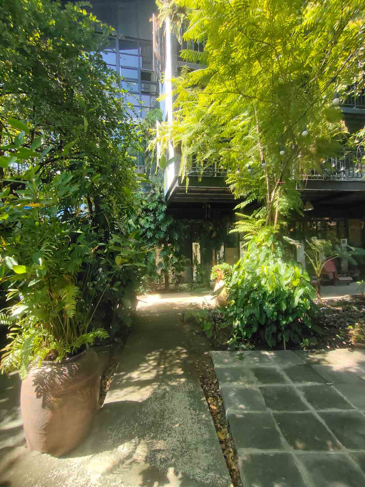 Papaya Studio