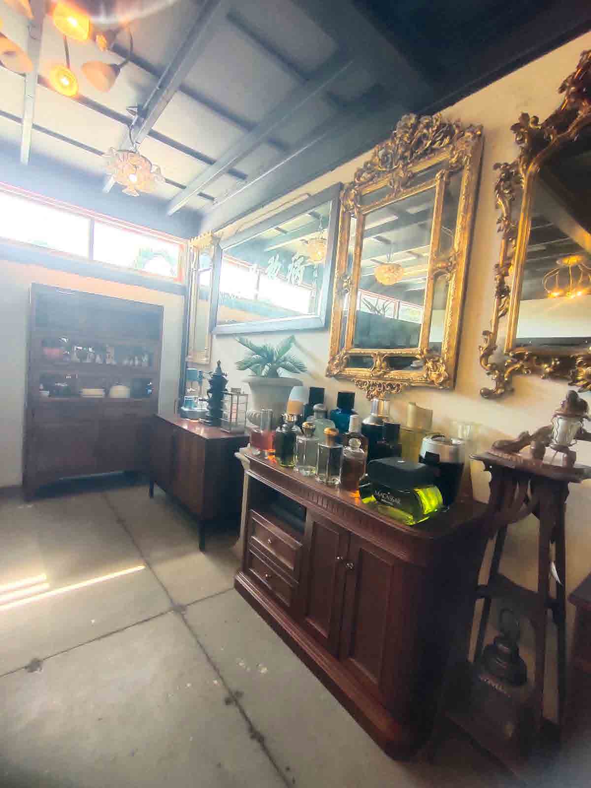Papaya Studio