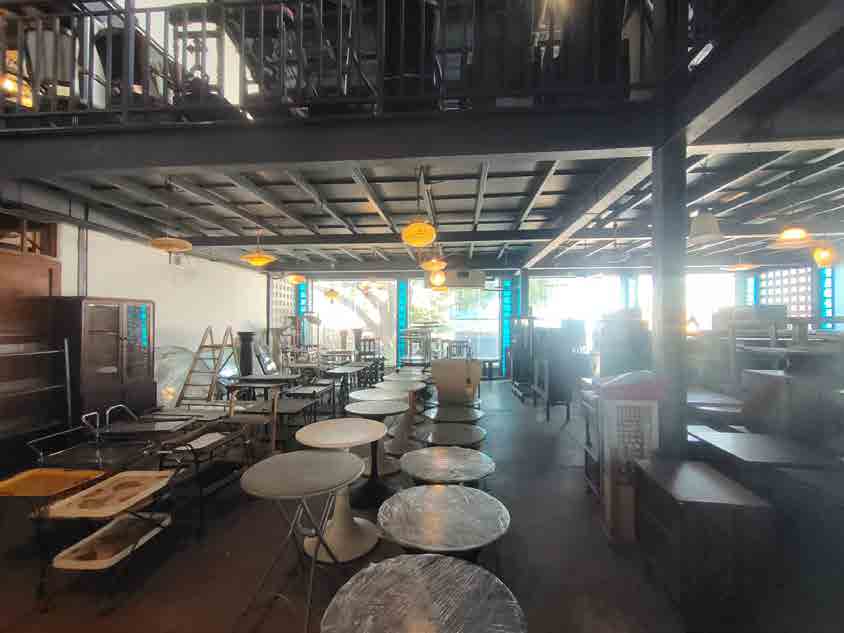 Papaya Studio