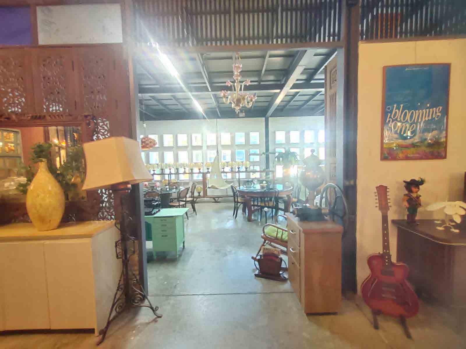 Papaya Studio