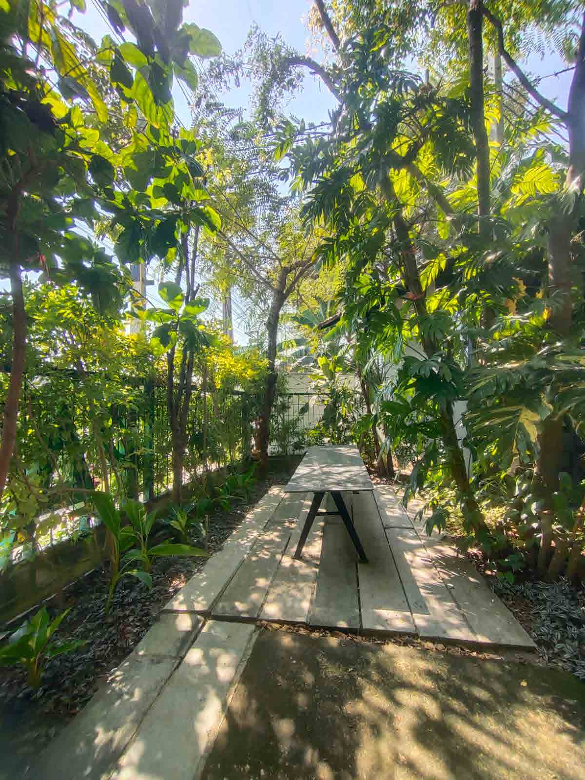 Papaya Studio