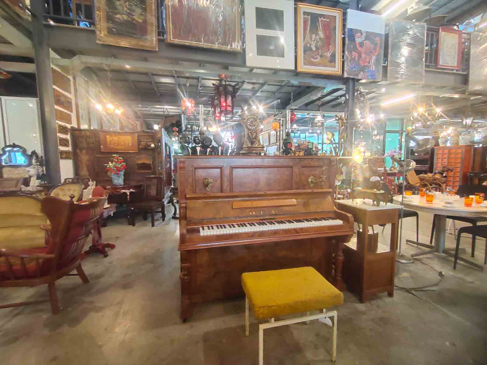 Papaya Studio