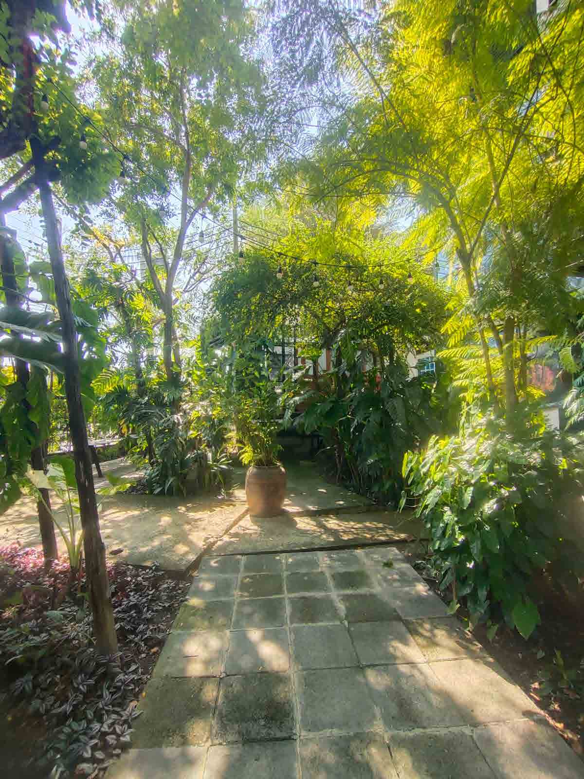 Papaya Studio