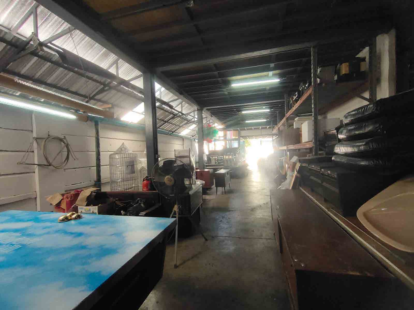 Papaya Studio