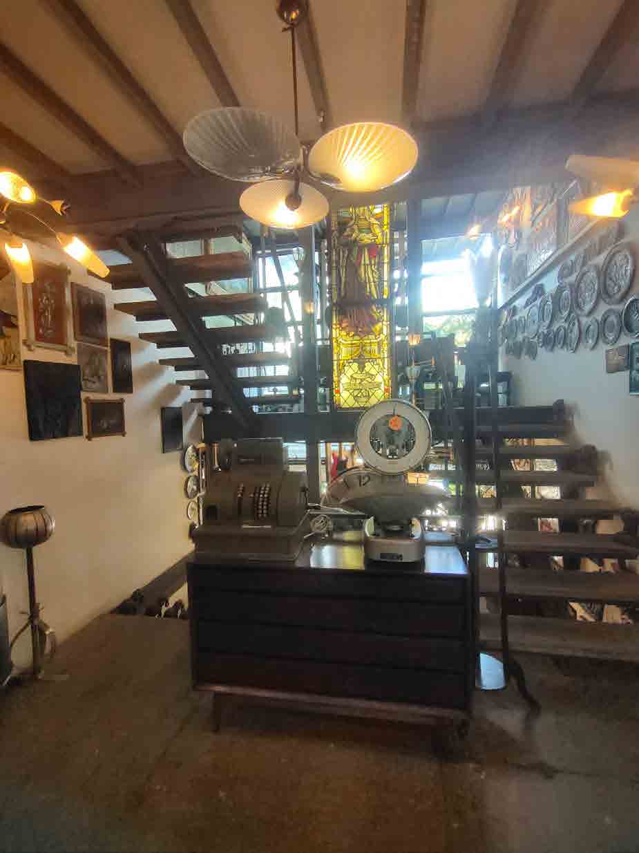 Papaya Studio