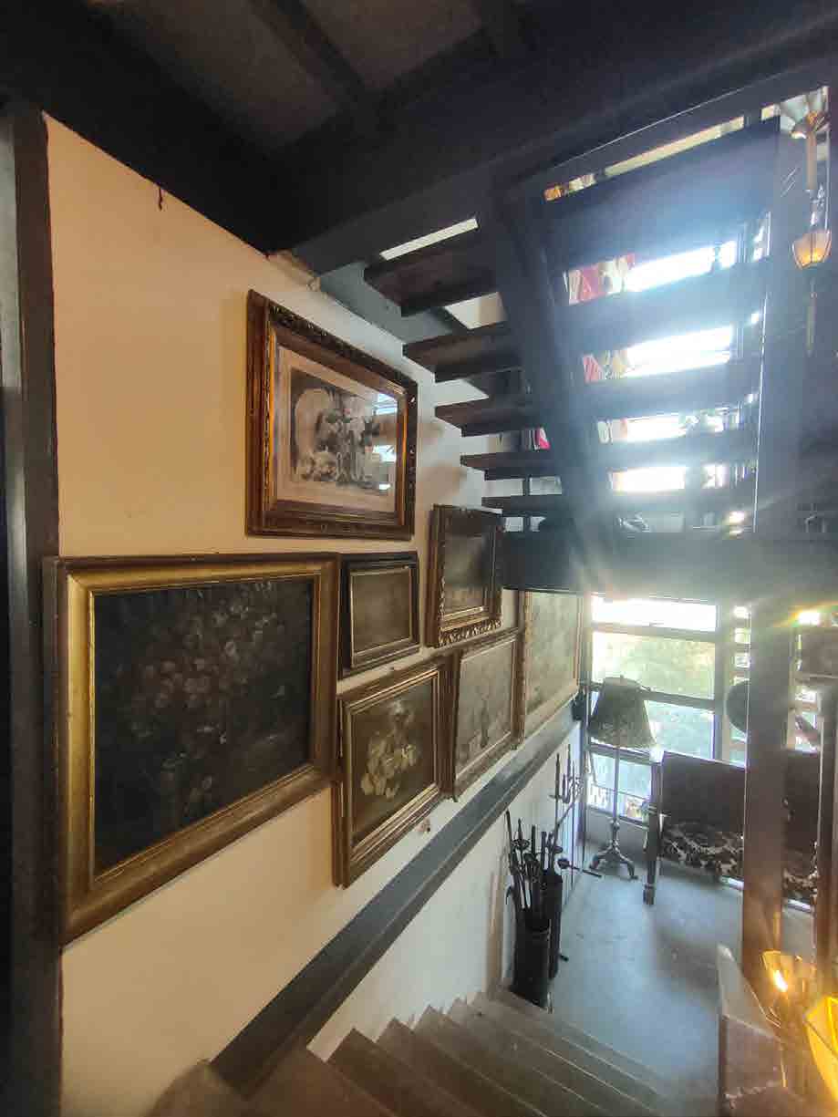 Papaya Studio