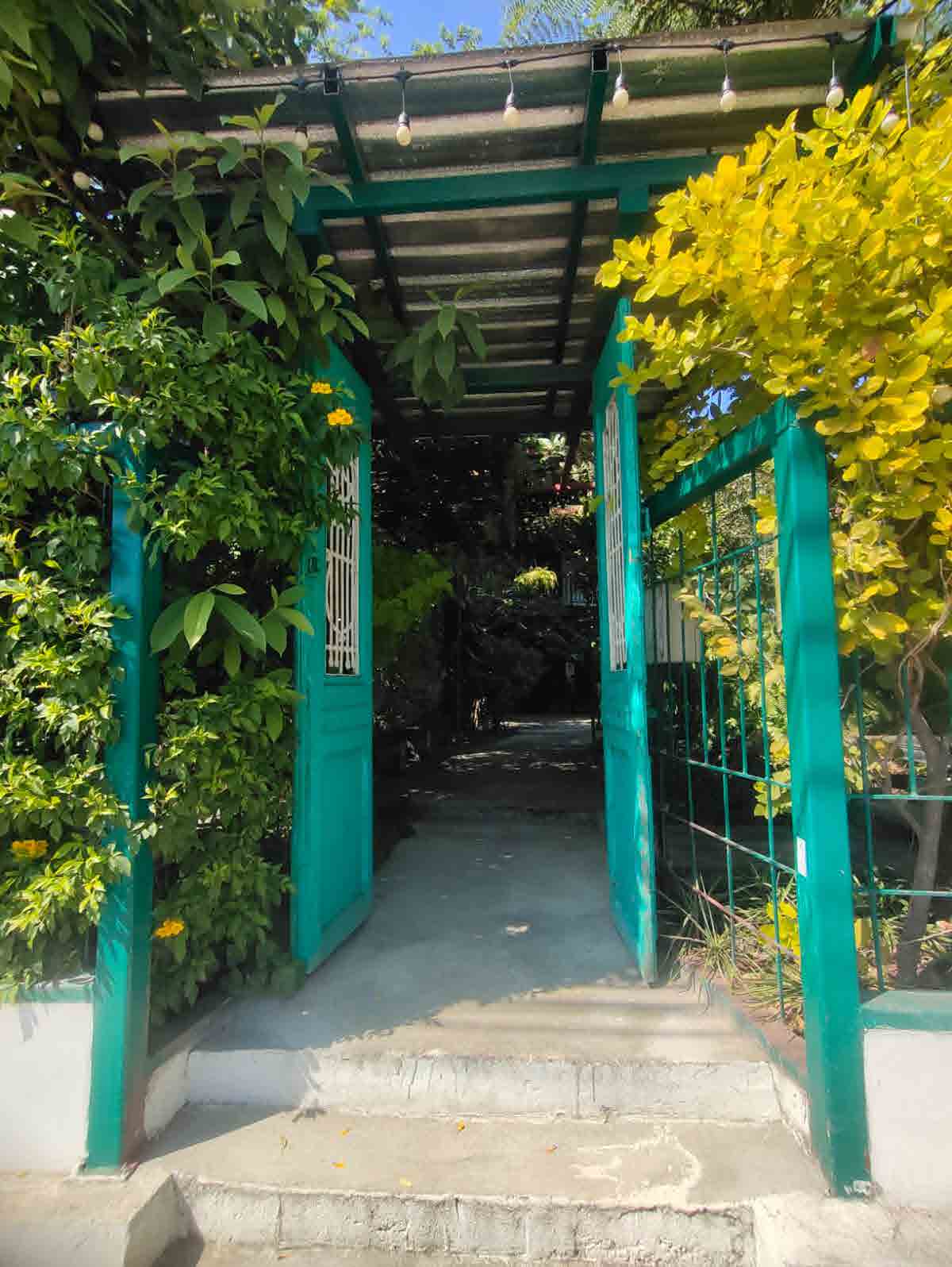Papaya Studio
