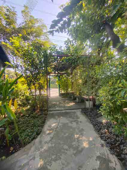 Papaya Studio