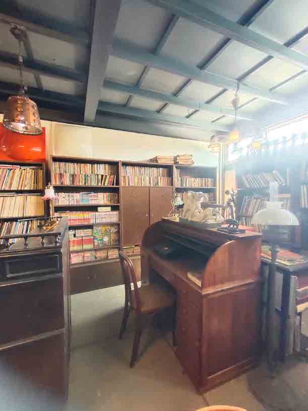 Papaya Studio