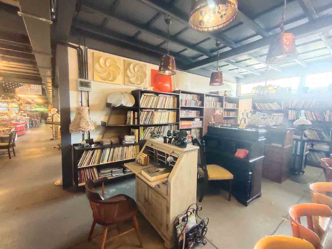 Papaya Studio
