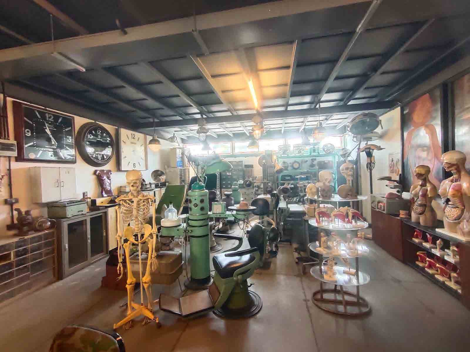 Papaya Studio