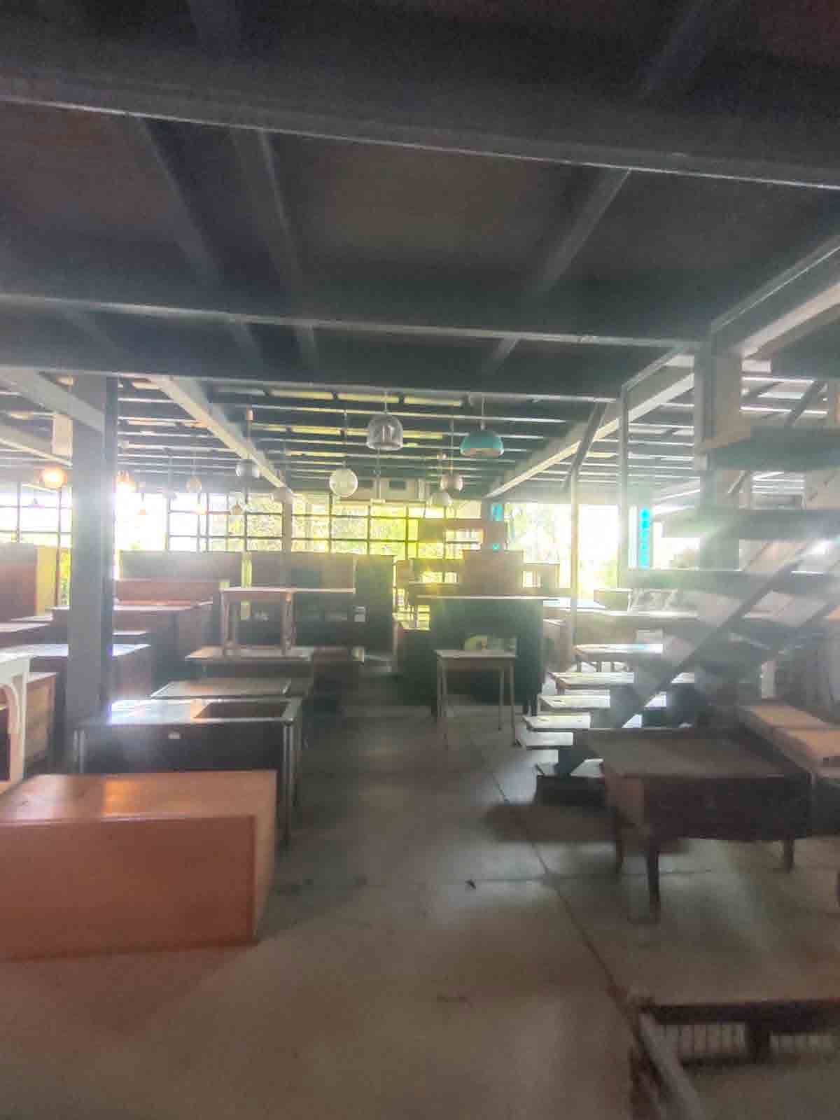 Papaya Studio