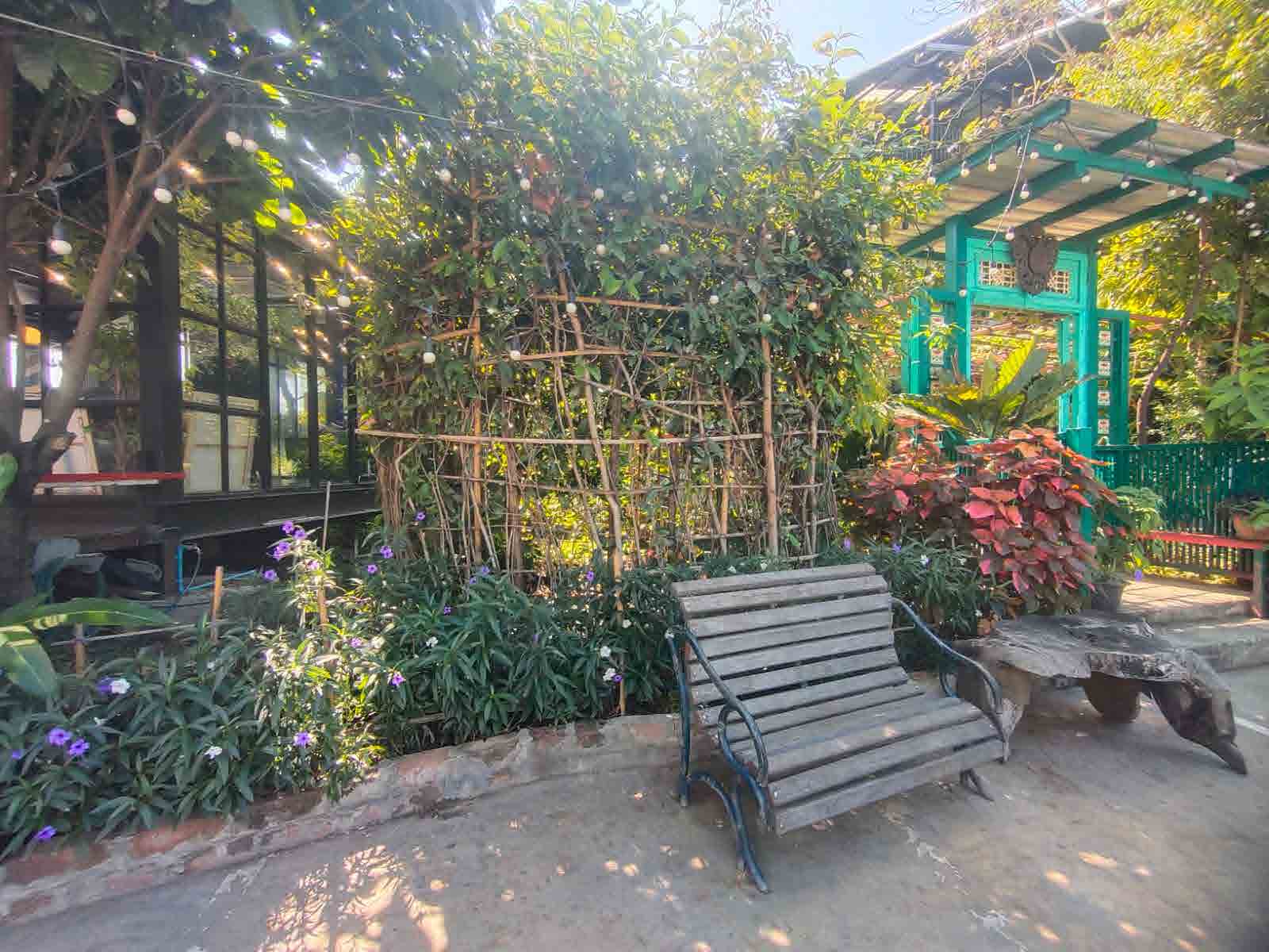 Papaya Studio