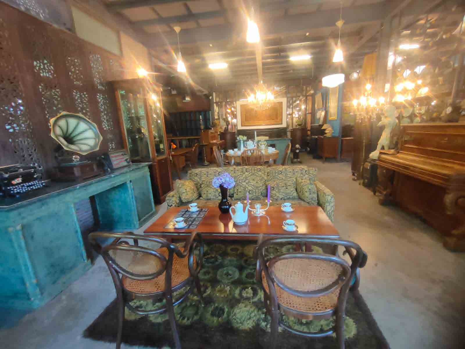 Papaya Studio