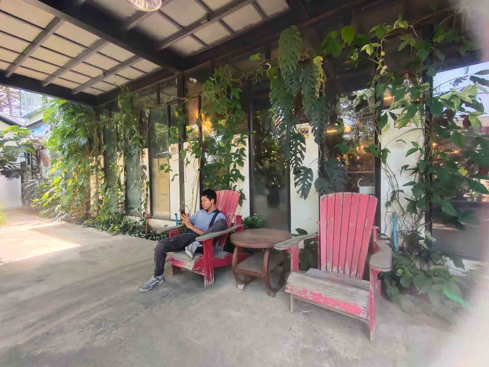 Papaya Studio