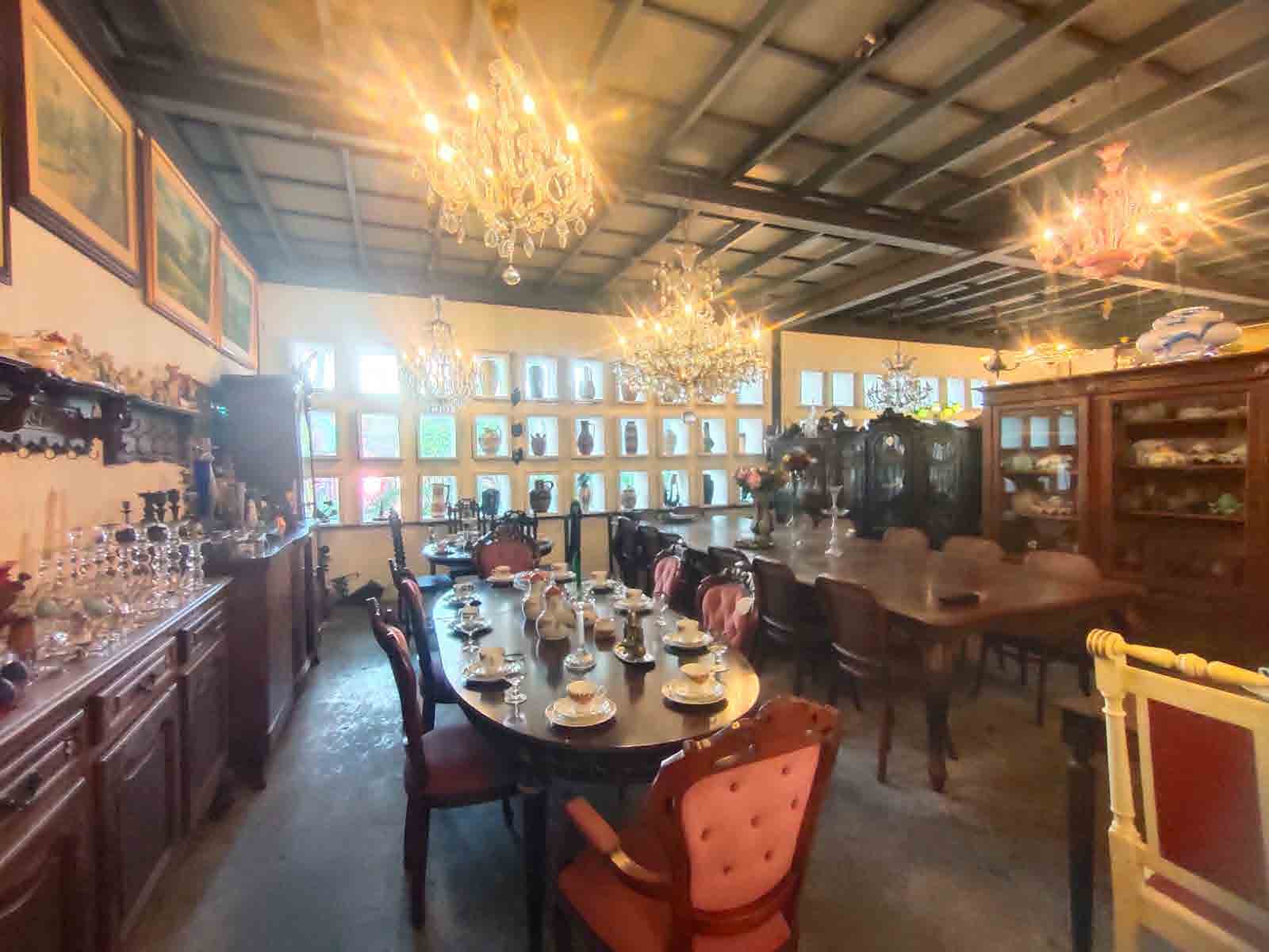 Papaya Studio