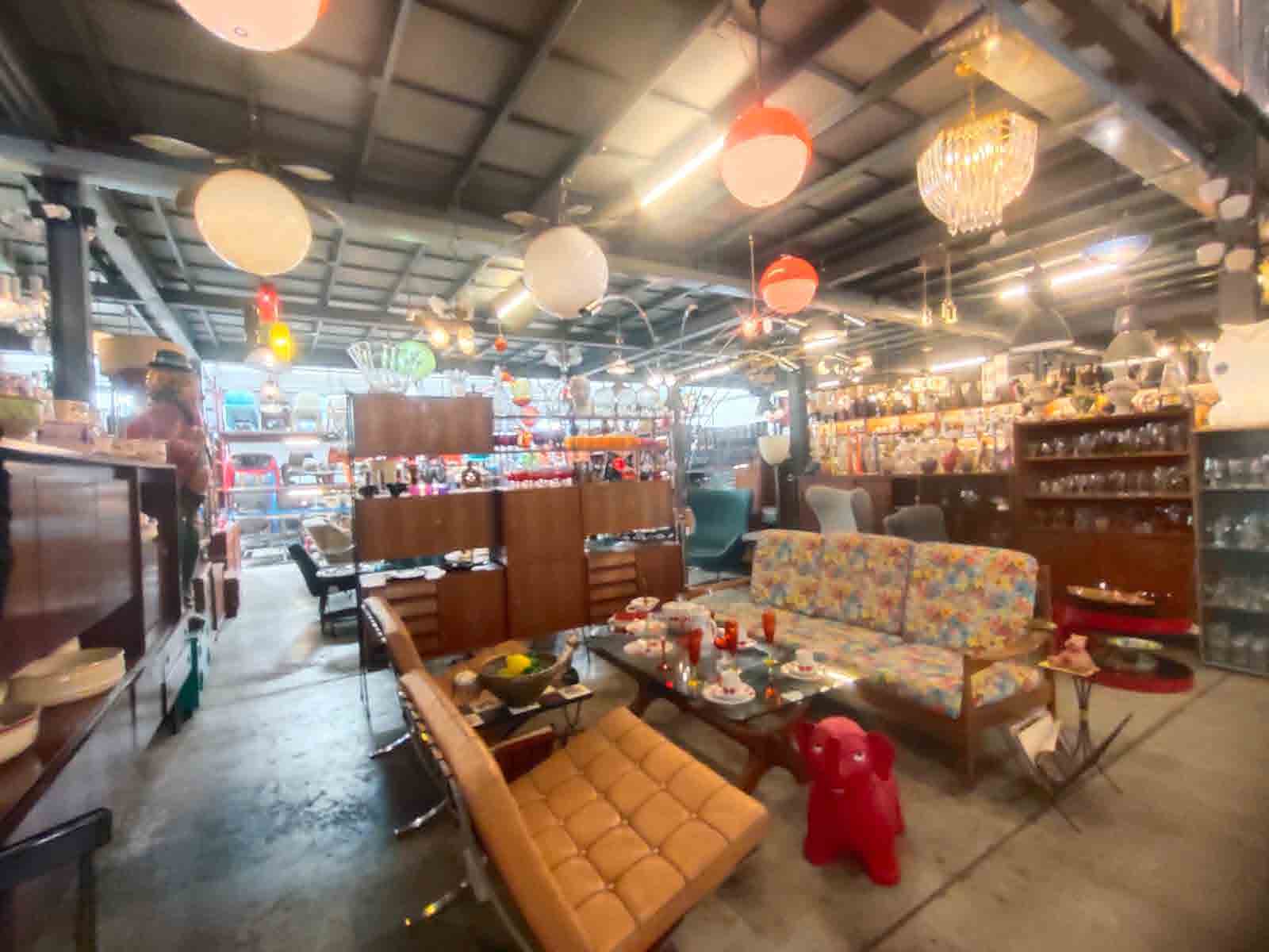 Papaya Studio