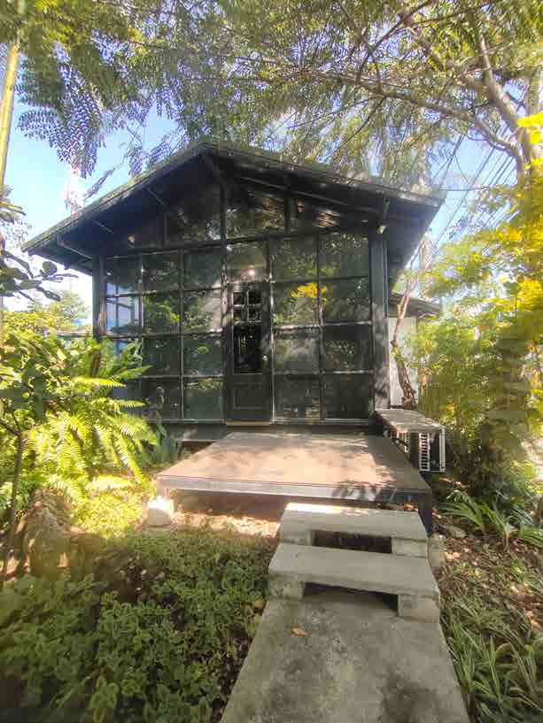 Papaya Studio