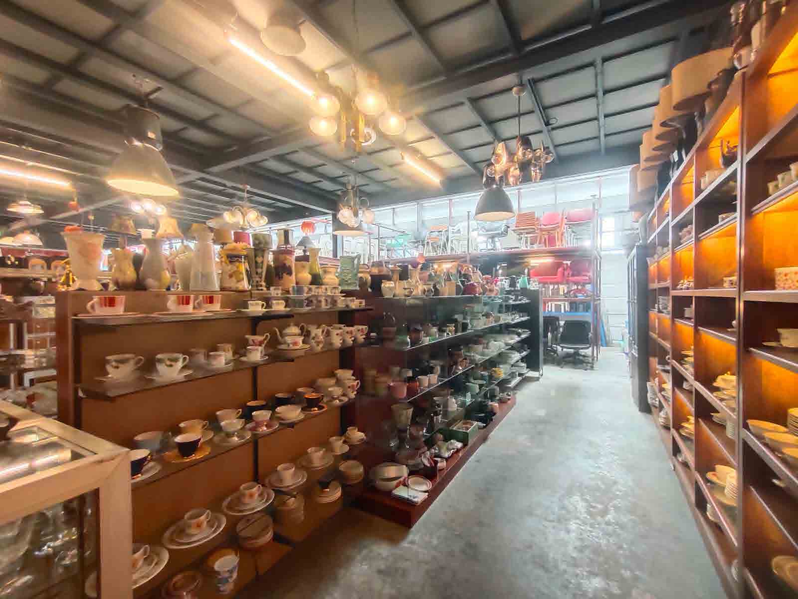 Papaya Studio