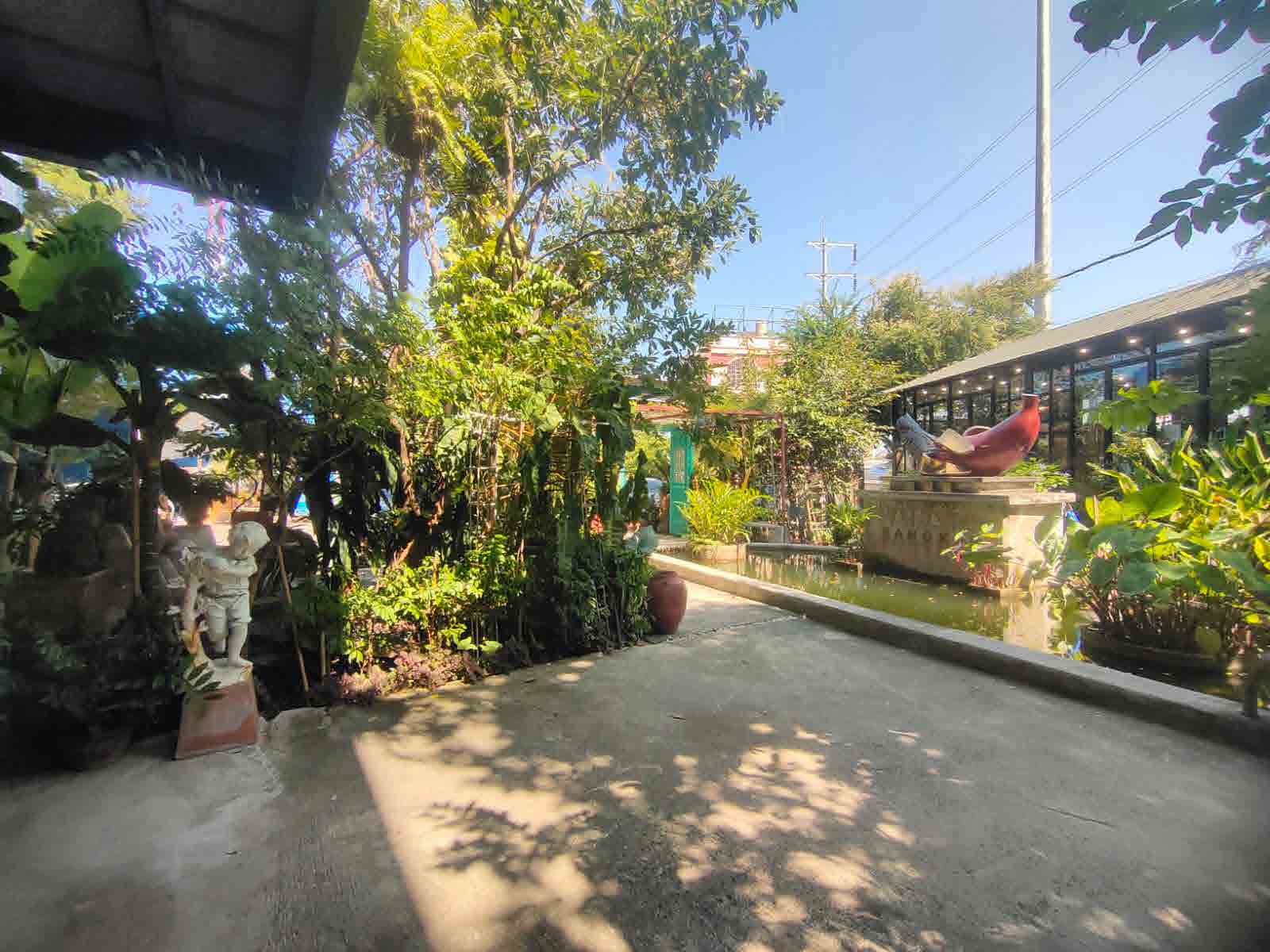 Papaya Studio