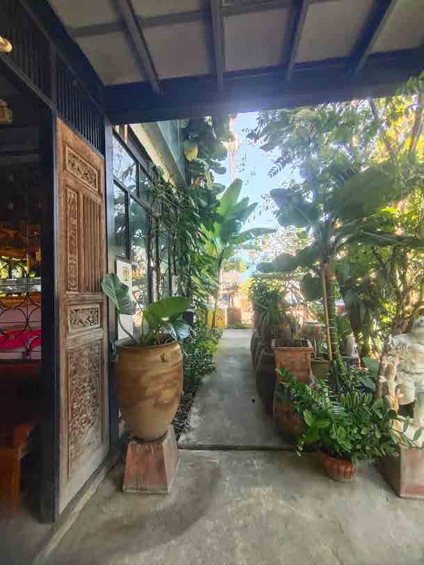 Papaya Studio