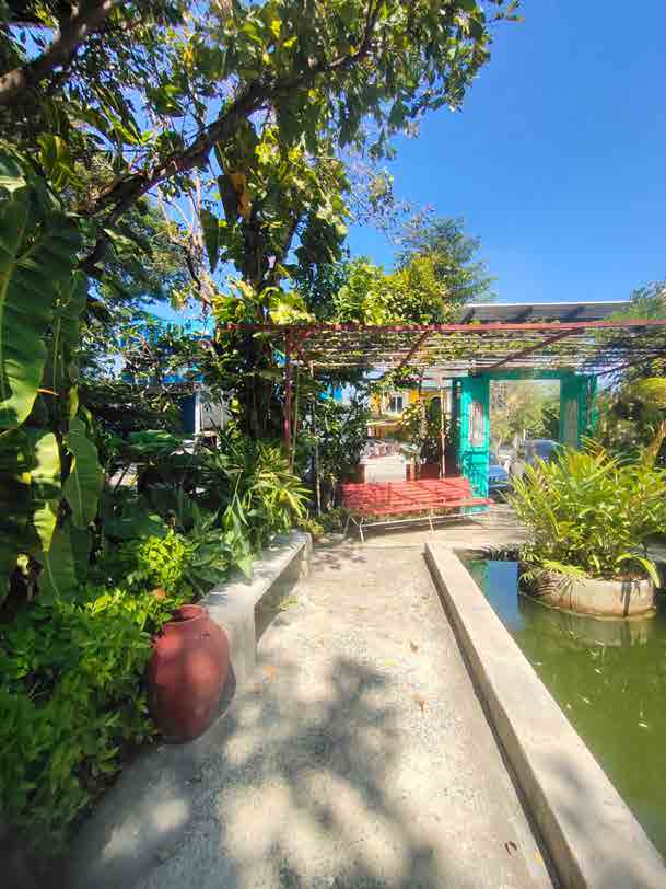 Papaya Studio