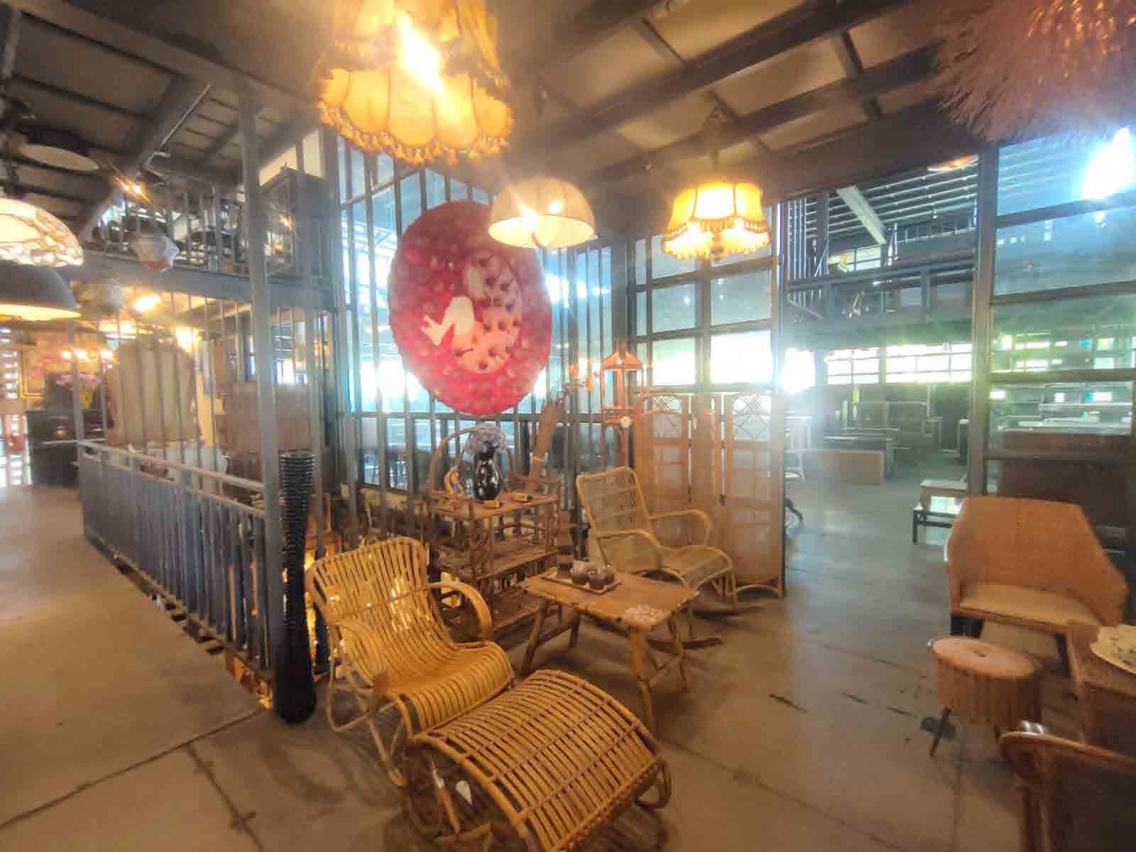 Papaya Studio