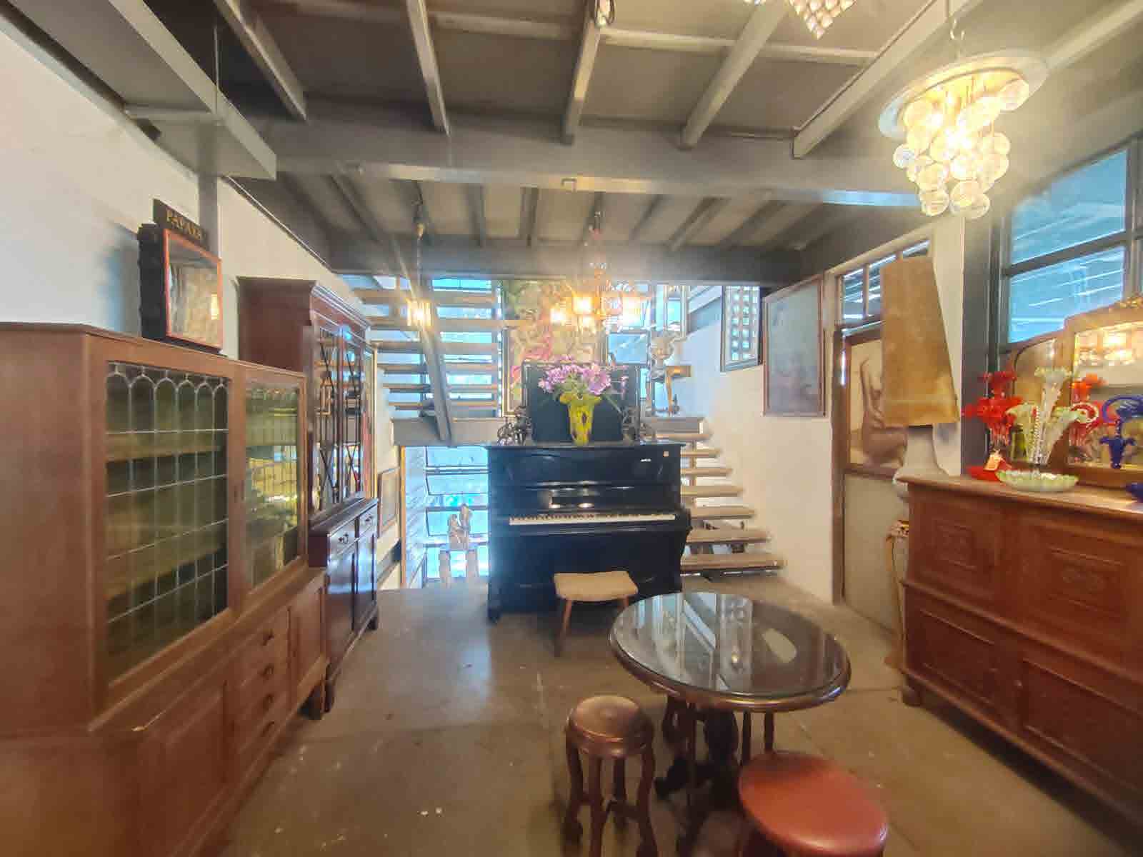 Papaya Studio