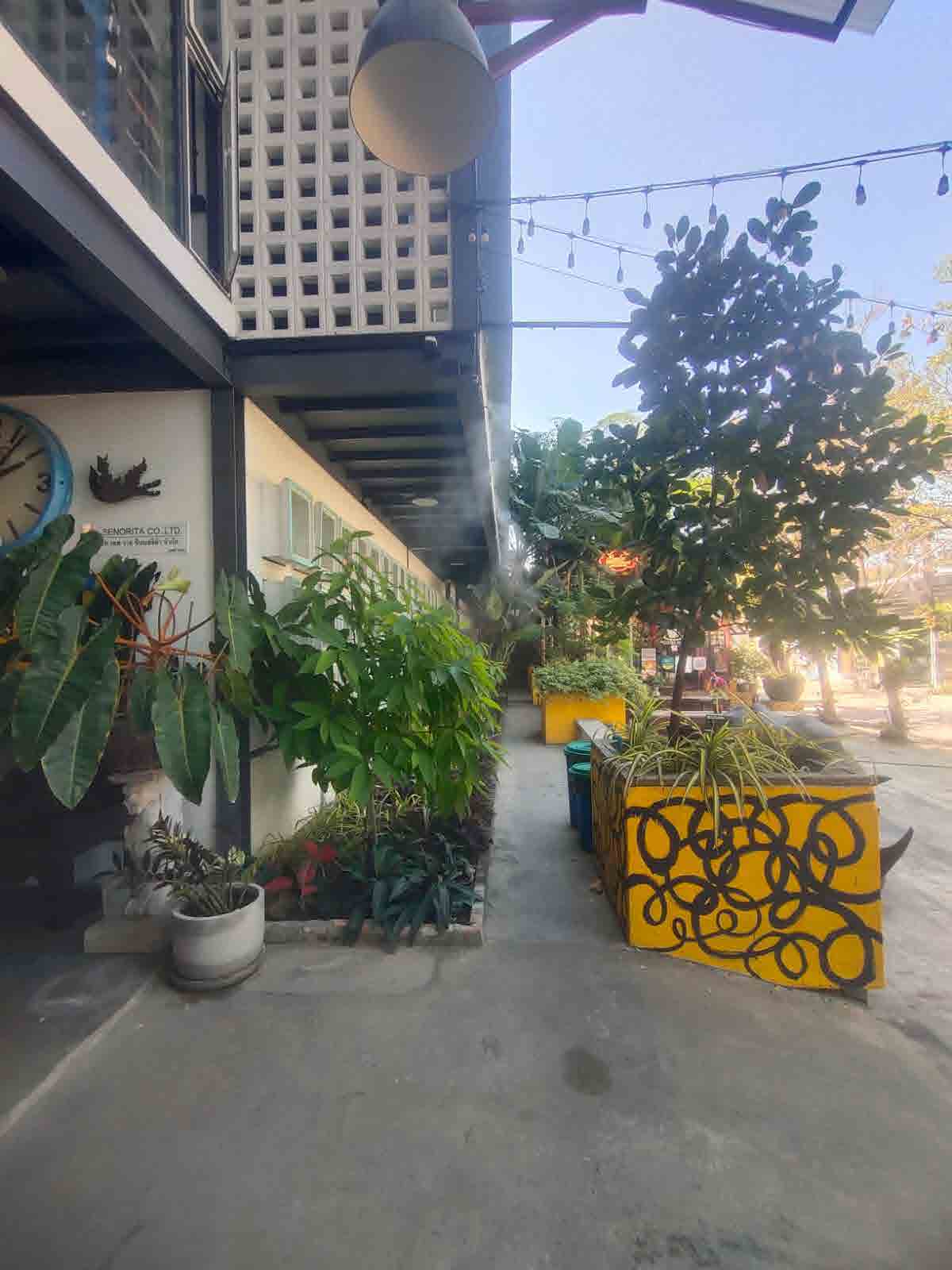 Papaya Studio