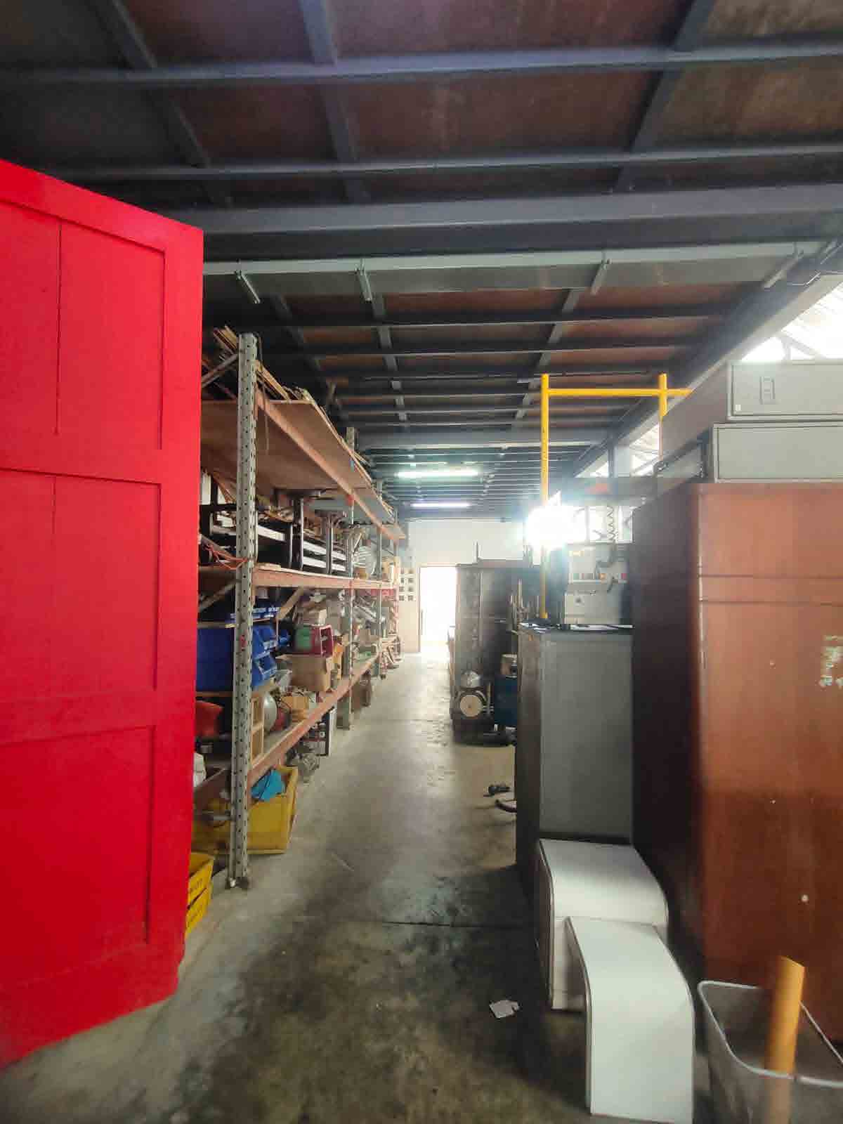 Papaya Studio