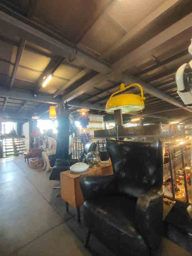 Papaya Studio