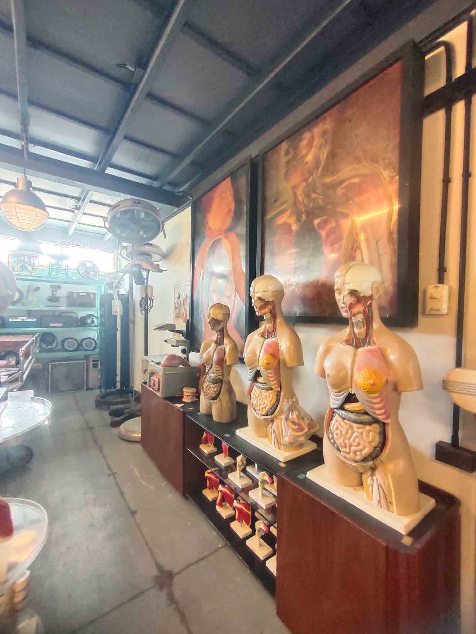 Papaya Studio