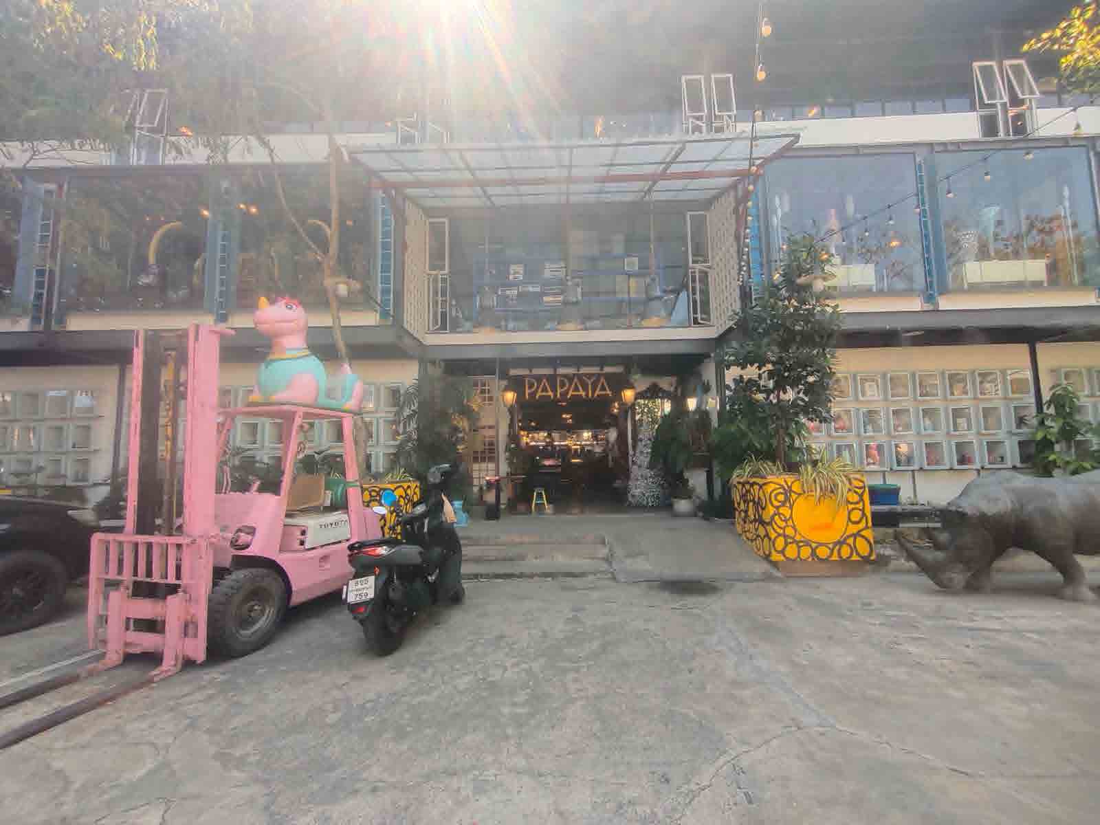 Papaya Studio