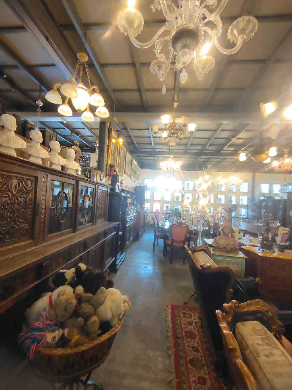 Papaya Studio