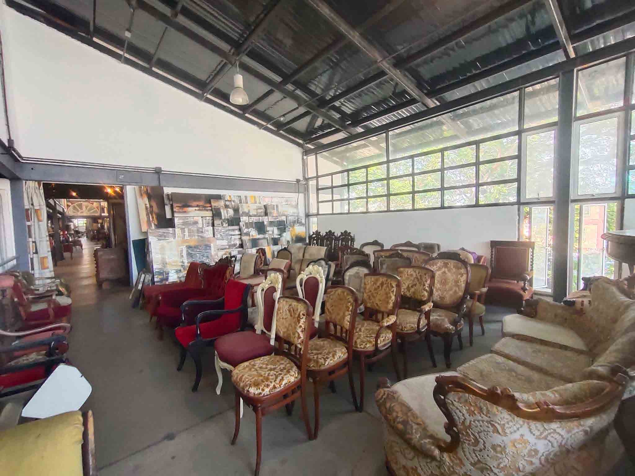 Papaya Studio