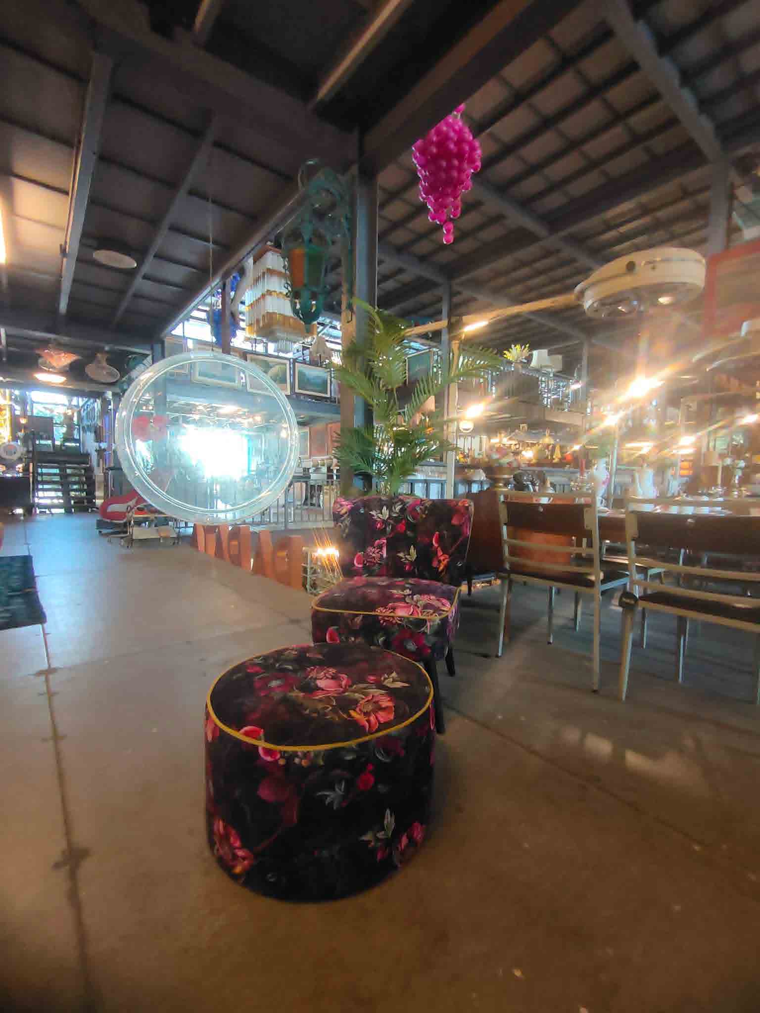 Papaya Studio