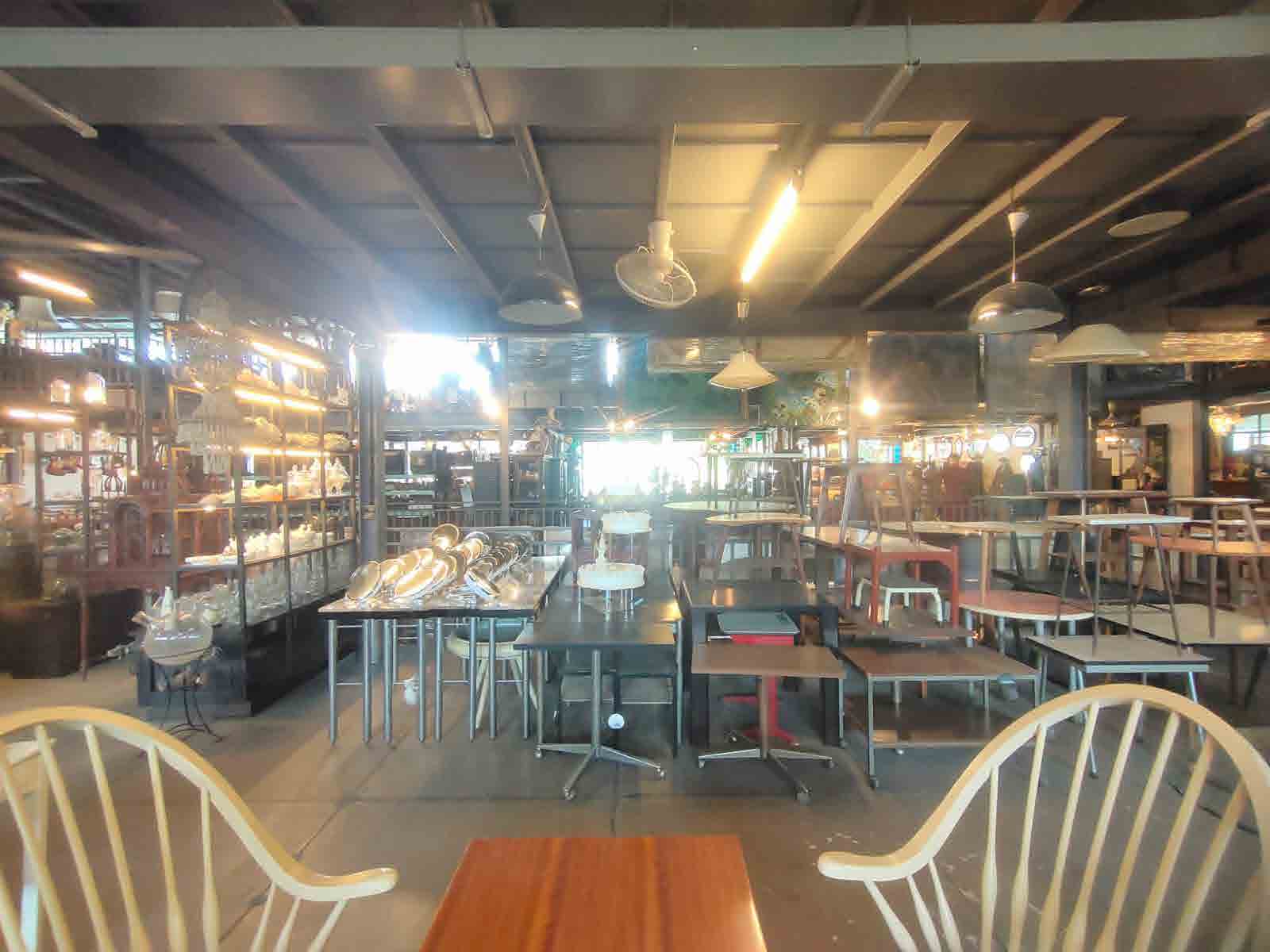 Papaya Studio