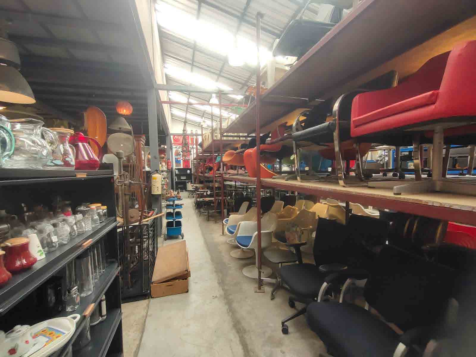 Papaya Studio
