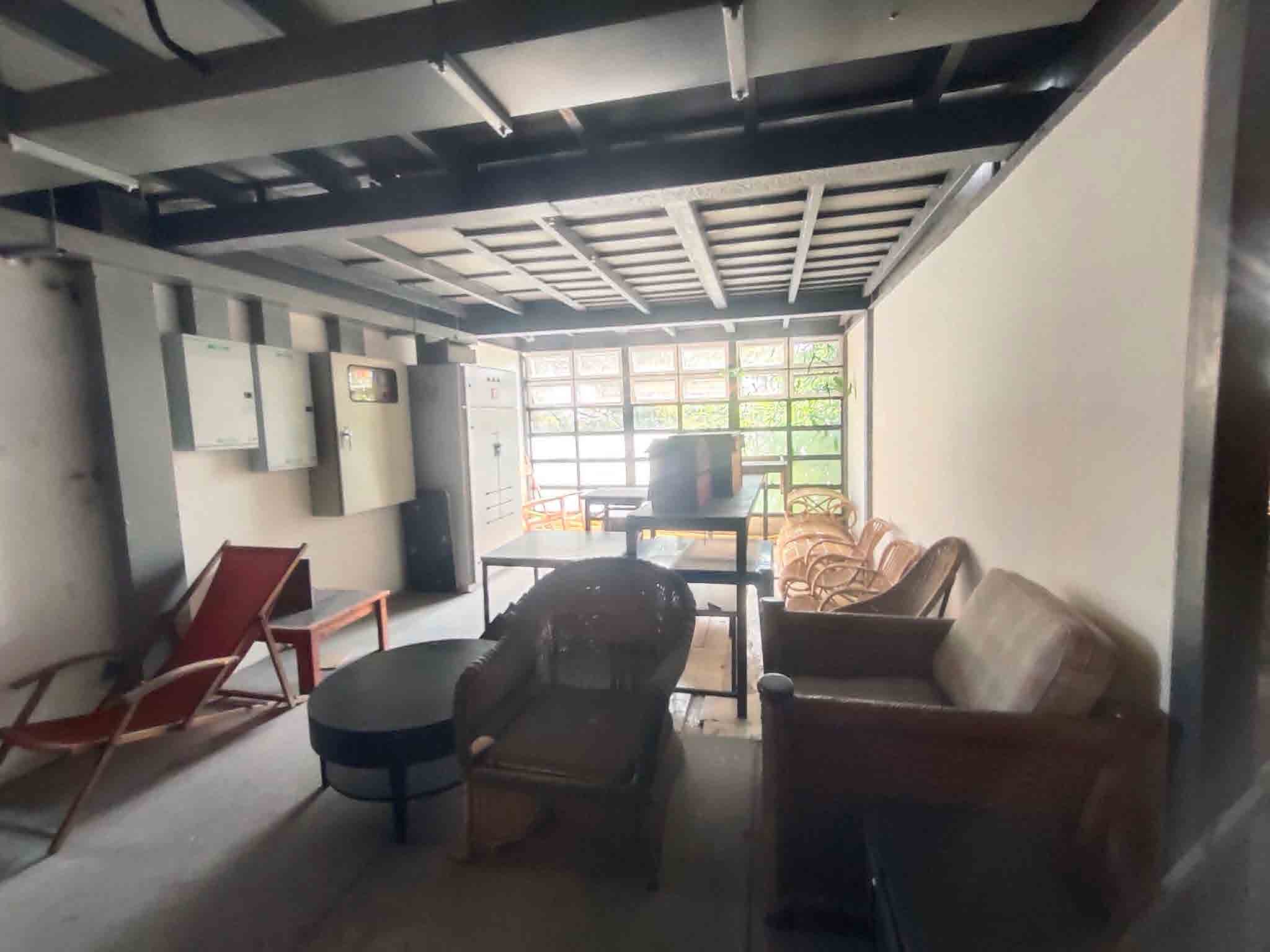 Papaya Studio