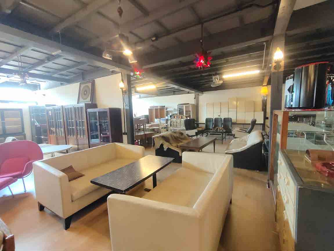 Papaya Studio