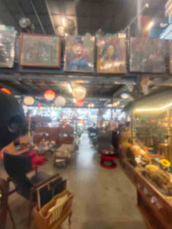 Papaya Studio