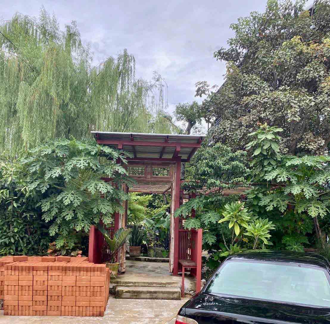 Papaya Studio