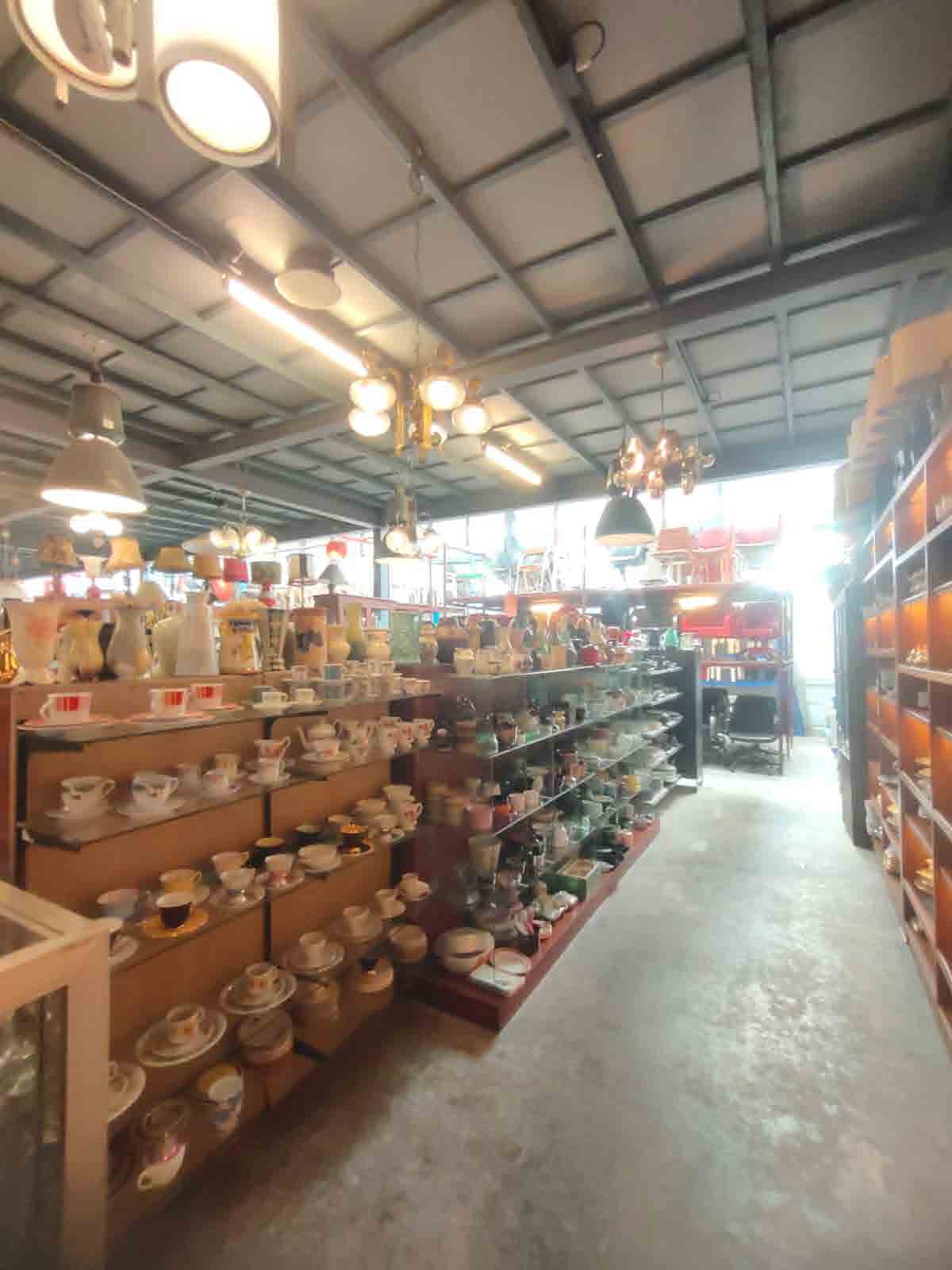 Papaya Studio