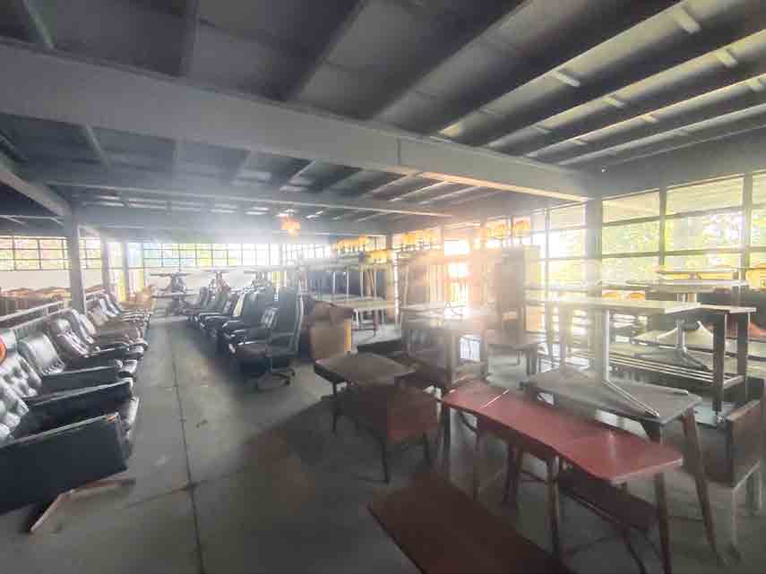Papaya Studio