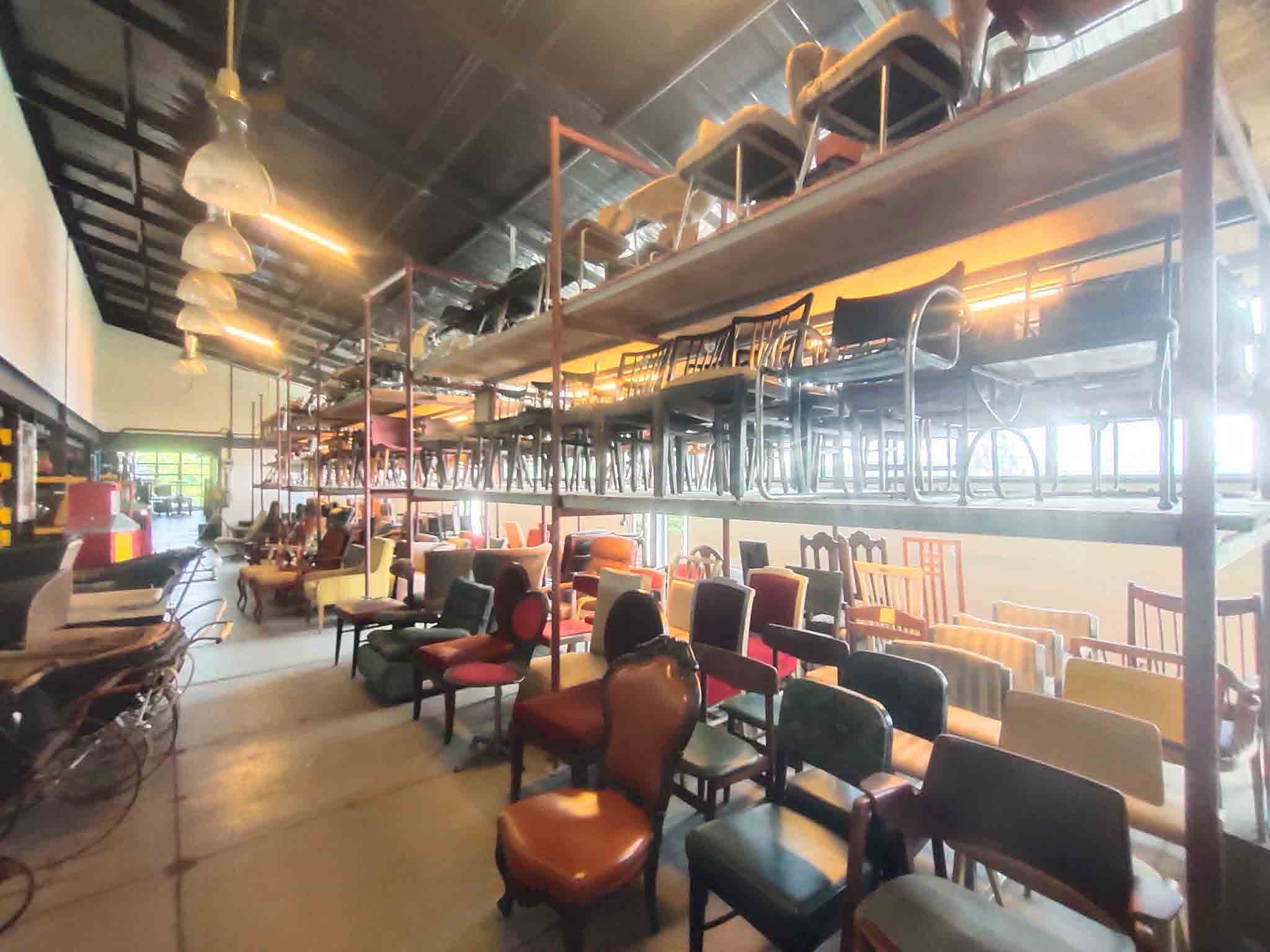 Papaya Studio
