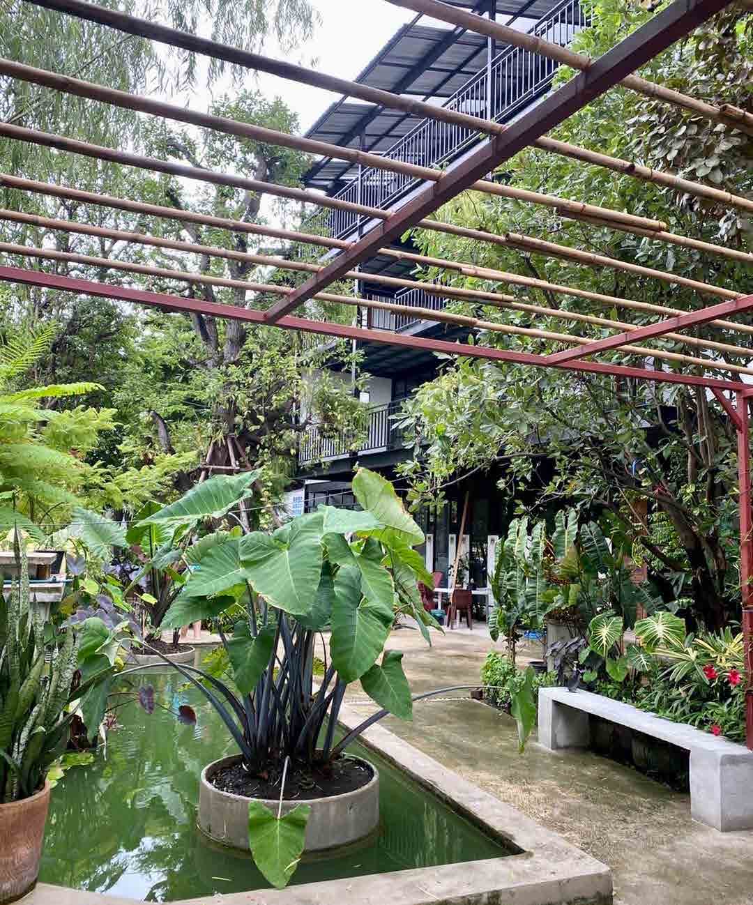 Papaya Studio