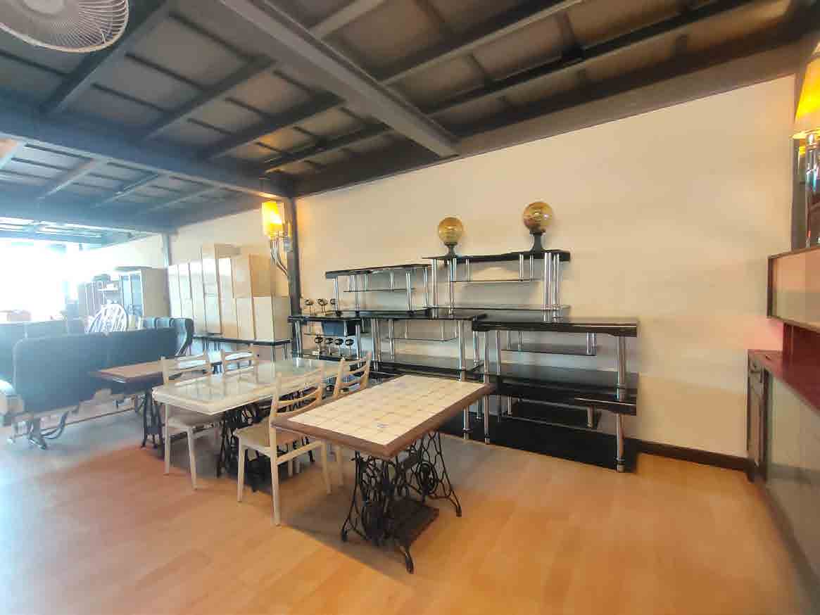 Papaya Studio