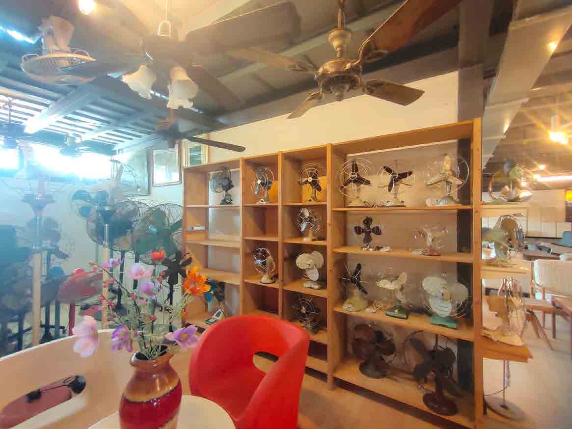 Papaya Studio